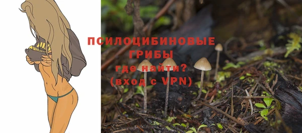 бошки Беломорск