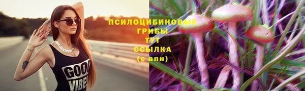 каннабис Белокуриха