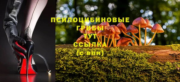 МДПВ Белоозёрский
